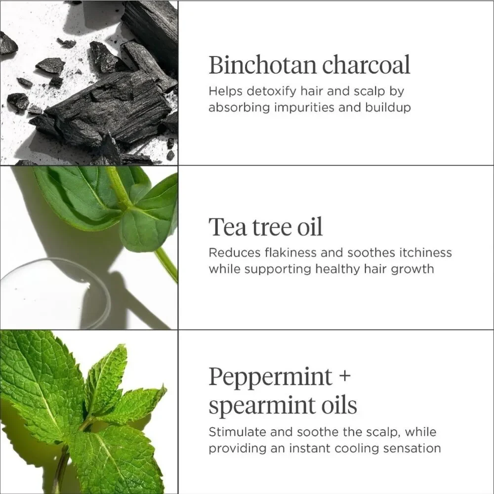 🆕 Briogeo Scalp Revival Charcoal + Tea Tree Cooling Hydration Mask